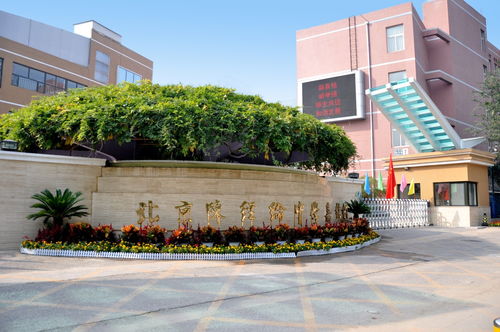 师德先进单位 陈经纶中学嘉铭分校 以一流的队伍办一流的教育