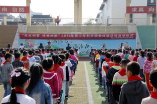 全国青少年科技创新活动服务平台