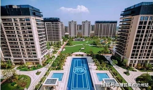 南通启东 售楼处电话丨新湖海上明珠 楼盘简介信息