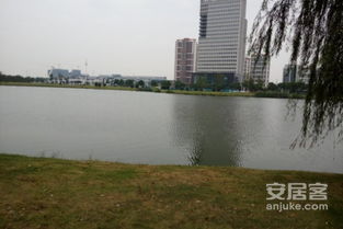 龙之天地优点 不足,龙之天地怎么样,龙之天地周边房产中介经纪人评价