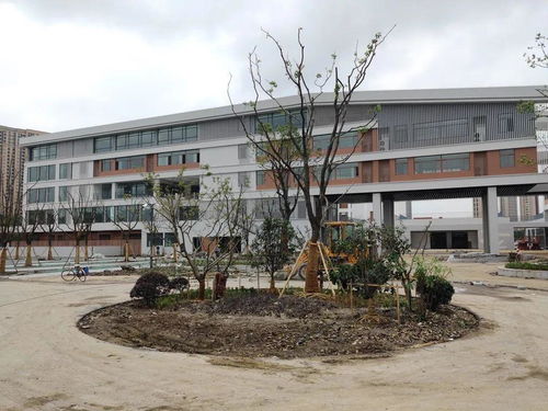 来了 你关心的花桥多所学校建设新情况....