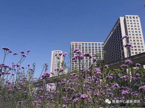 真相揭秘 昆山花桥智慧城公寓真相非常震惊 究竟怎么回事 背后原因震惊了