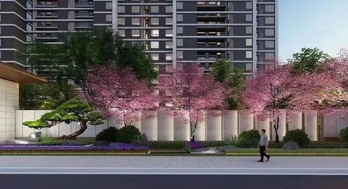 聚焦昆山璞境云庭 花桥优质学区楼盘解析