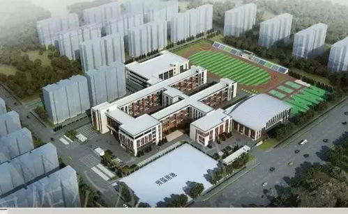 猝不及防成“香饽饽”？花桥教育配套大升级，新建学校为区域发展注入强心剂