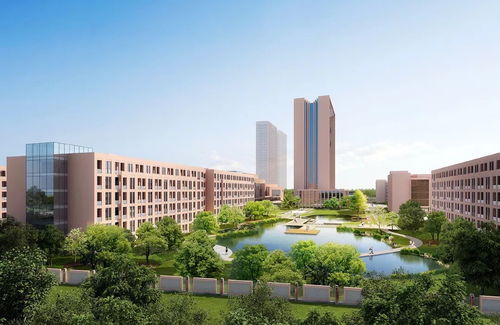 颍东 19宗地、70亿投资、65个城建项目助力区域腾飞，对标昆山花桥中心校建设